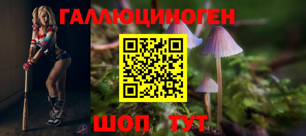 Псилоцибиновые грибы мицелий Малоярославец
